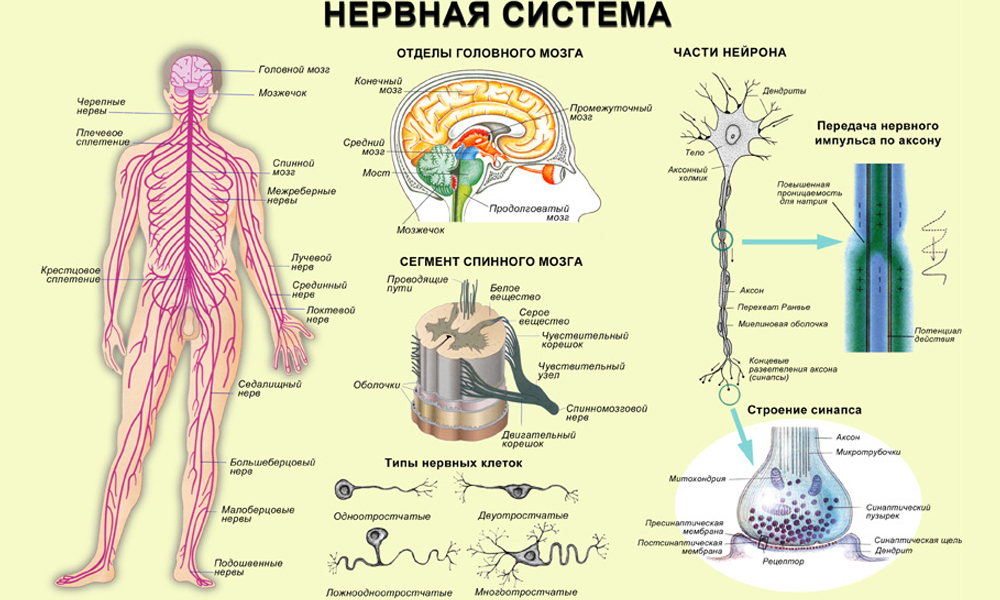 Инструкция по применению Глицина Форте Эвалар