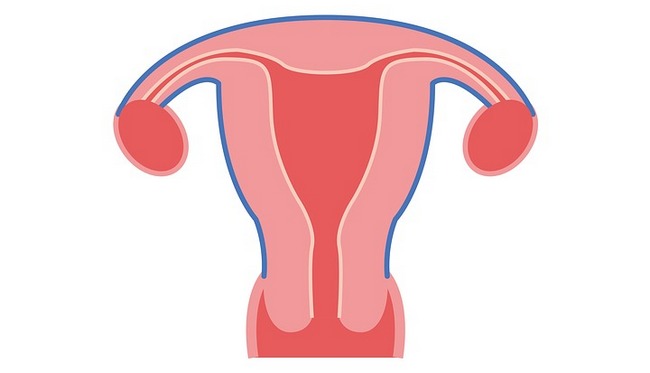 Эндометриоз после беременности и родов: симптомы, лечение