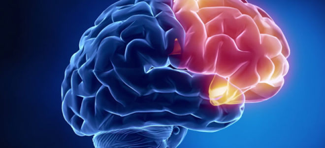 Диагностика и лечение ушиба головного мозга